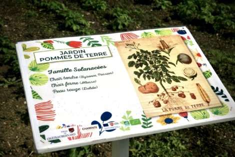 Panneau jardin pommes de terre