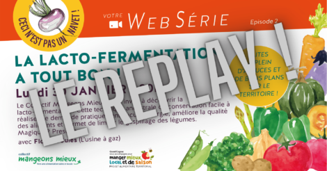 Replay web conférence lacto-fermentation